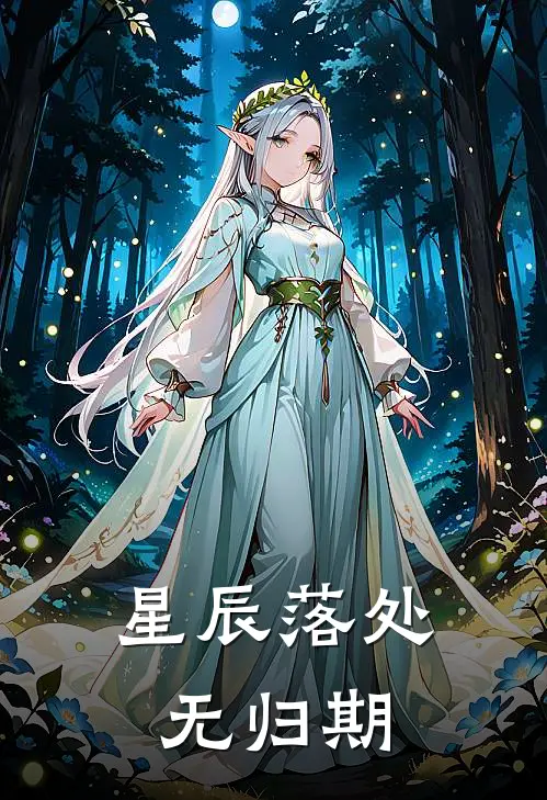 星辰落处无归期