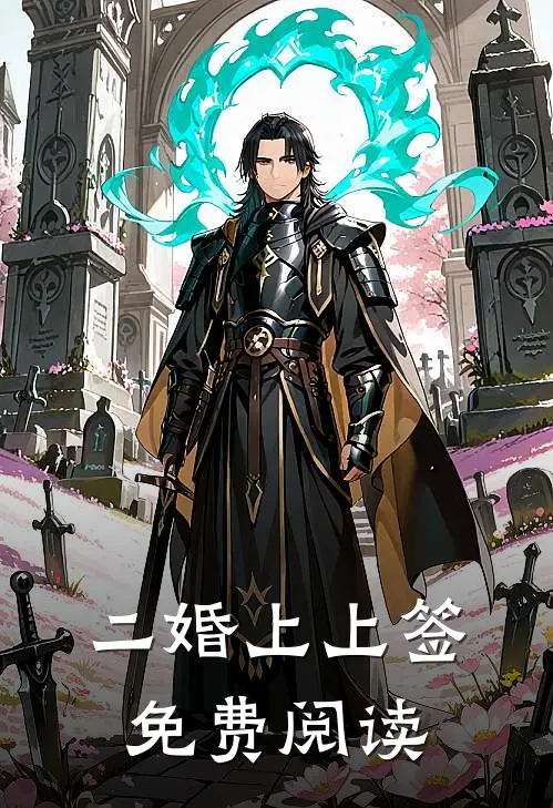 二婚上上签免费阅读